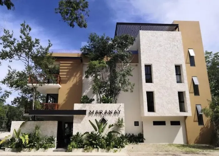 Exclusive Building Infinity Pool And Gym Restaurants And Bar District Nearby * Tulum