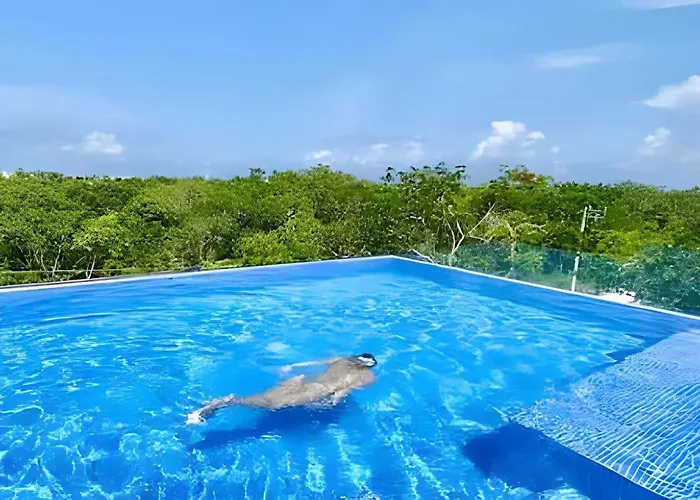 Exclusive Building Infinity Pool And Gym Restaurants And Bar District Nearby