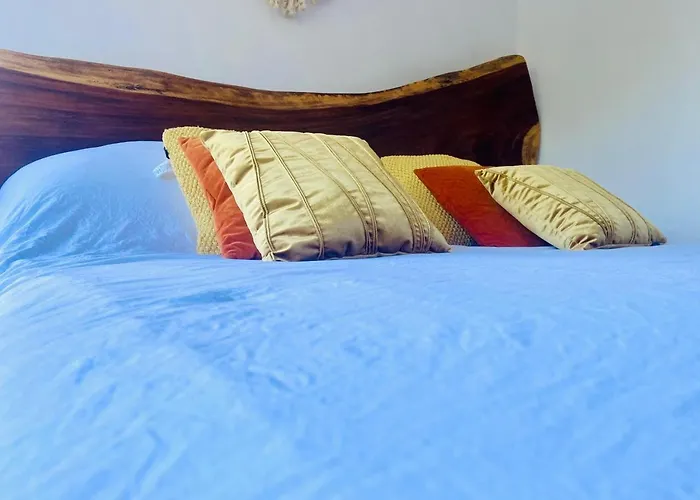 Exclusive Building Infinity Pool And Gym Restaurants And Bar District Nearby Tulum